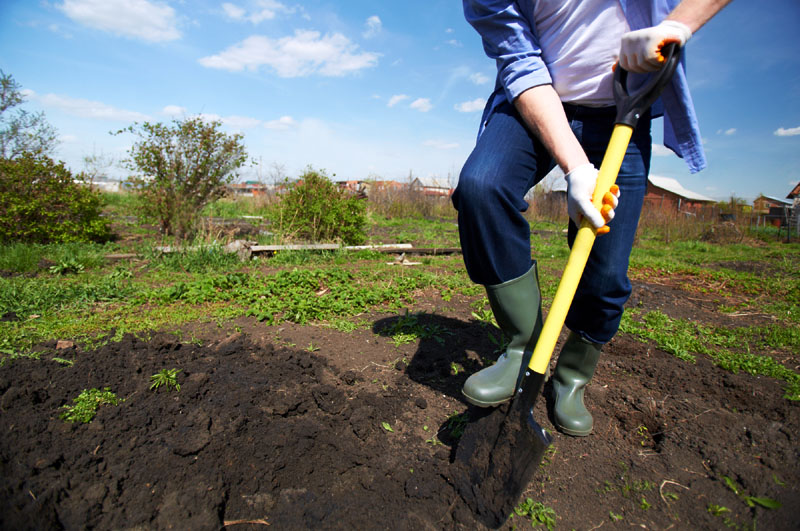 Best Shovel for Digging in Clay